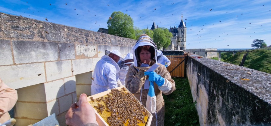 Vente de la première récolte de miel 