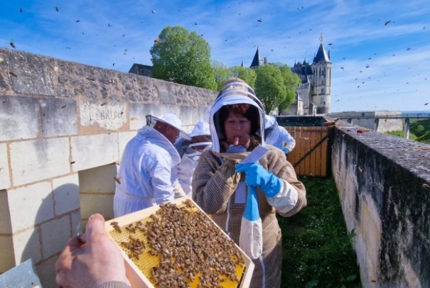 Vente de la première récolte de miel 